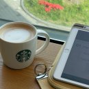 CoCo멍(코코멍) 이미지