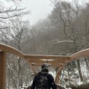 김여사밥사랑 이미지