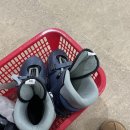 ㈜월드평화관광 | 2026 설 맞이 근황 일기