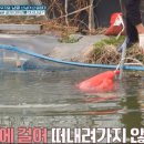 천왕봉농산 네이버블로그