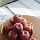 진가농장 이미지