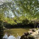 무심교옆 이미지