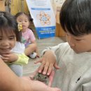 애니멀스쿨 이미지