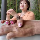 이혜정 카카오 검색결과