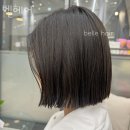 벨헤어 네이버블로그