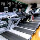 돌고래헬스클럽 이미지