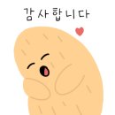 퍼플핀롯데광주