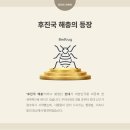 경안셀프 이미지