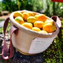 저지1521 이미지