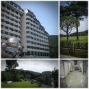 동해약천온천 이미지