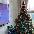 갑천 | 대전도안동아파트 갑천3블럭 트리풀시티 레이크포레 입주 후기 (갑천조망)