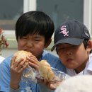 죽백초등학교 이미지