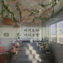 이디오랜 이미지