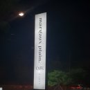 마고플레인 이미지