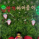 도영 농장 이미지