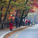 지리산둘레길 - 노고단게스트하우스 사장님이 보내주신 사진들 이미지