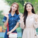 뿜뿜 이미지