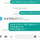 지리산 복숭아 설아 노마진 특가 송이버섯 시즌 막바지 이미지