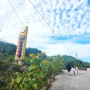 S1 당구장 | 경남 함양 오토캠핑장 "캠프더포레" (구 힐빙캠핑장) 캠핑후기