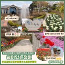 111 | [리뷰] 서산 꽃구경 명소로 추천하는 대형 정원 카페 ,쉼이있는정원(아메리카노, 감자빵)