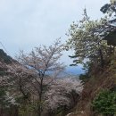 한절농장 이미지