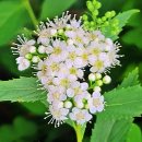 까치공원 이미지