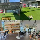 콩이랜드 이미지