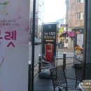 띠아모커피신안