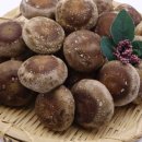 송기농장 이미지