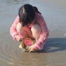 송호해수욕장2화장실 이미지