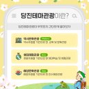 두발로여행사 이미지