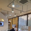 데일리동물병원 이미지