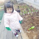 한올유아스쿨어린이집 | [육아정보] 완전 만족한 배곧좋은키즈스쿨 어린이집 리얼 후기 / 배곧유치원 추천 / 배곧어린이집 추천