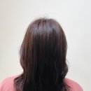 강쌤 헤어