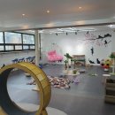 동물보육원 고양이 후원 카페 | 인천 연희동 애견호텔 동물보육원 고양이후원카페 비용 시간 위치