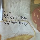 중앙땅콩 | 탕종빅땅콩샌드 솔직 후기(삼립 SPC SAMLIP 신제품 빵 리뷰)