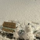 궁가네김밥,수제비 | 2025 마지막 한달