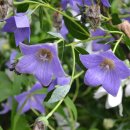 형석농장 이미지