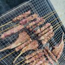 소나무언덕2호도서관 | 하동 구재봉자연휴양림 방문후기(숲속의집 녹차나무2호) 2026.3.27~3.29