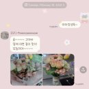 [창원] 꽃집 추천: 클로이플라워 (생일 꽃 배달) 🩵