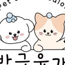 방긋웃개 이미지