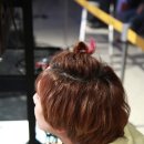 성호네 이미지