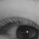 다온뷰티라인 이미지