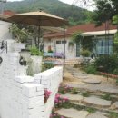 제니의 집 이미지