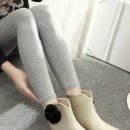 카멜리아플라워 이미지