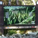 무릉도원면-9 이미지