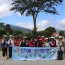 새터길삼거리 네이버블로그
