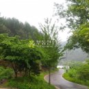 조현리 조현길 이미지