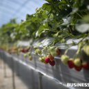 이명근 농장 이미지