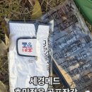 세경메드